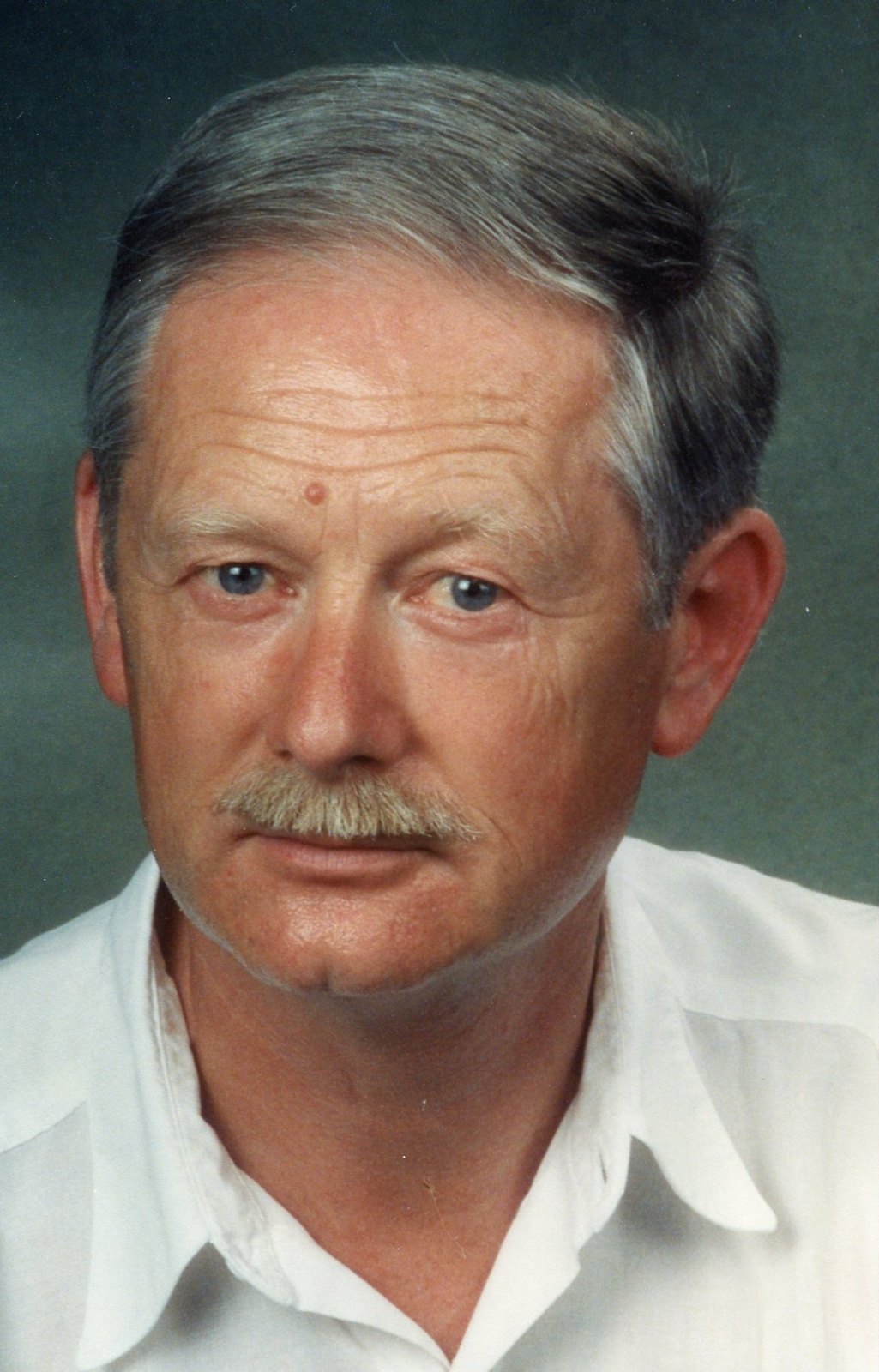 Porträt von Ing. Erich Kiedl