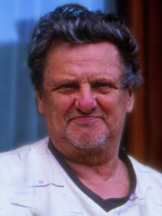 Porträt von Franz Kollmann