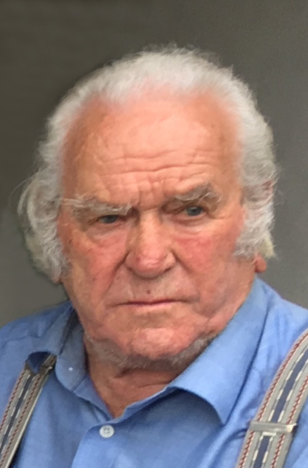 Porträt von Richard Riedl
