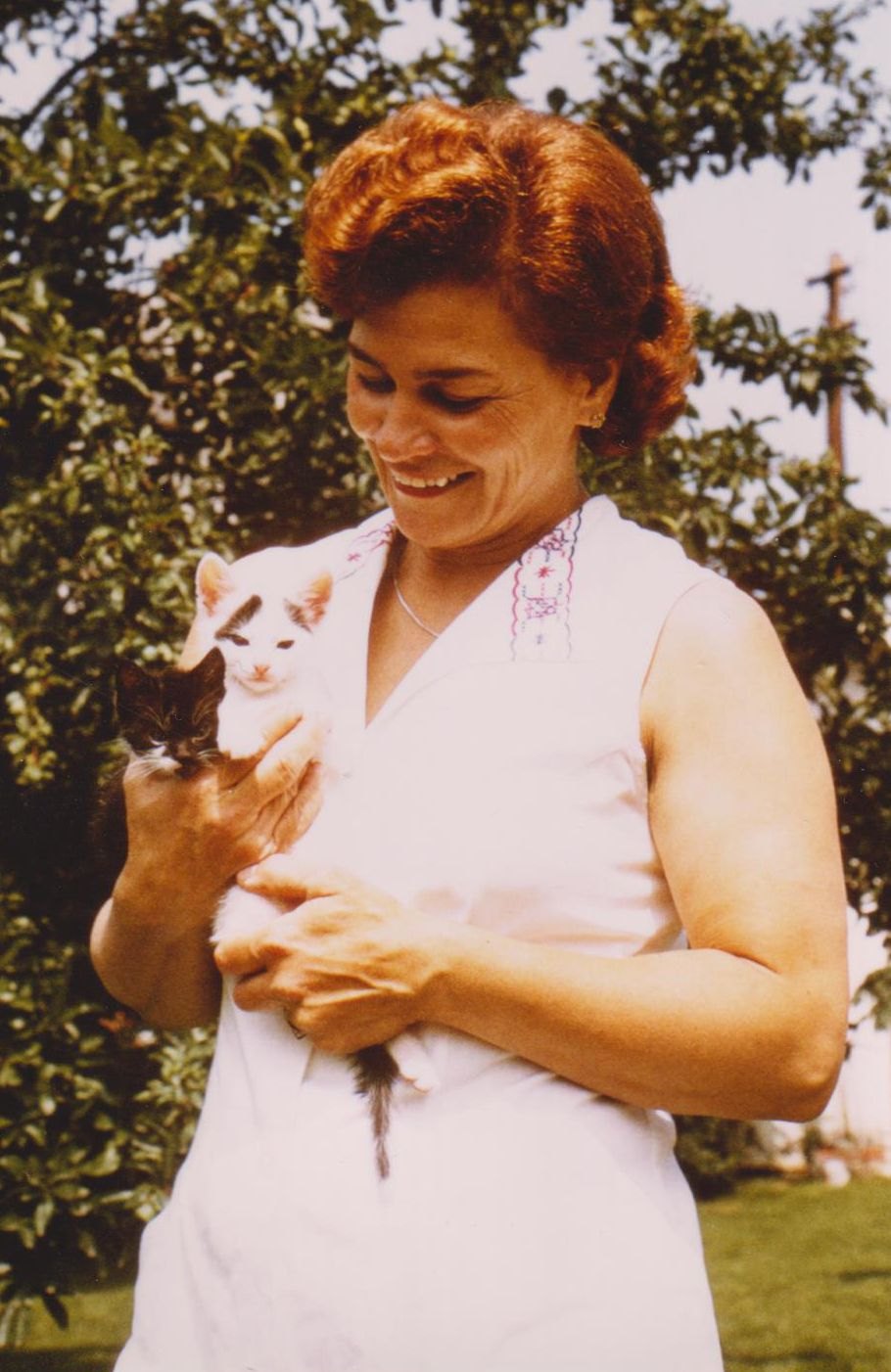 Porträt von Kosir Eleonore