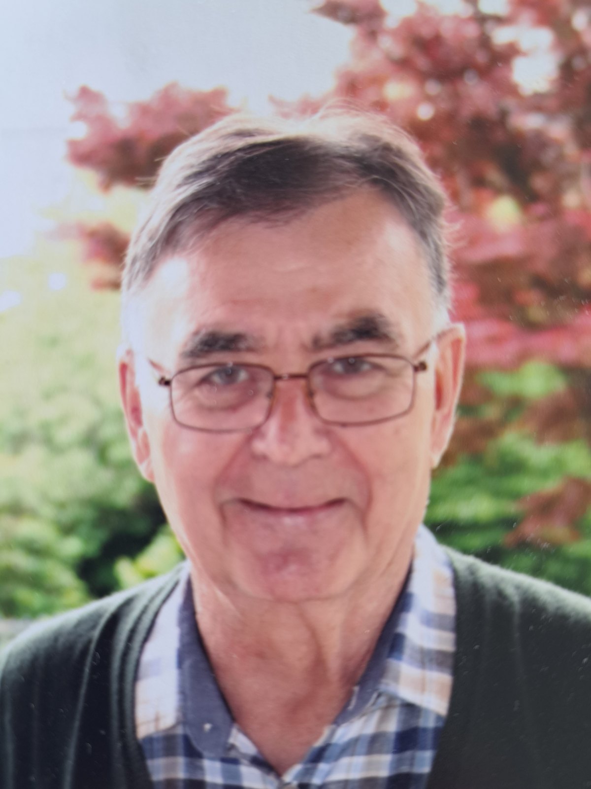Porträt von Helmut Peter Trolp