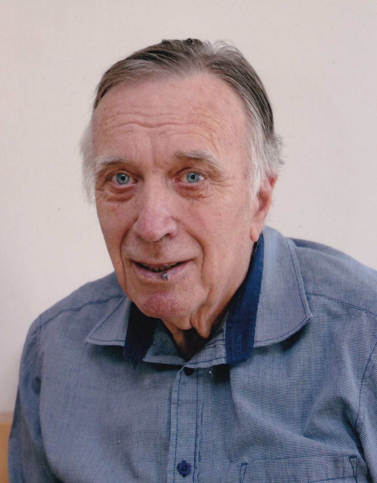Porträt von Franz Grambichler